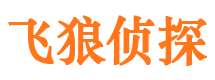 和布克赛尔市私家侦探